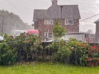 July Water , puddle to ocean-2.jpg