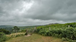 014 Sheepstor Common 01-6833 PS Adj.JPG 014 Sheepstor Common 01-6833 PS Adj.JPG