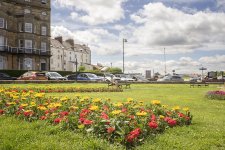 DSC02785.jpg DSC02785.jpg