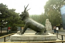 DSC_3461 (Medium).JPG DSC_3461 (Medium).JPG