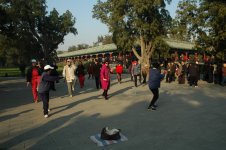 DSC_3296.JPG DSC_3296.JPG