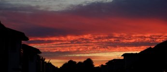 DSCF0875CS5.jpg DSCF0875CS5.jpg