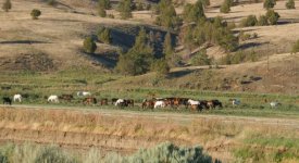 1690216796929.jpeg 1690216796929.jpeg