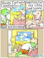 lizard.jpg
