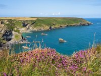 P7250003a.jpg P7250003a.jpg