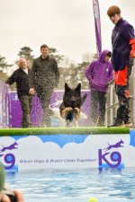 DPOY challenge - month 7 - water.jpg