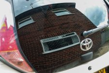 Week 30 - Windows.jpg