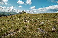 011 Leather Tor 02-1859 PS Adj.JPG 011 Leather Tor 02-1859 PS Adj.JPG