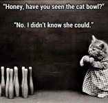 c72aa12e3e1b528aba66a5520fe7d15bbb923da8 (1).jpeg