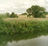 2023-07-28-0015.jpg 2023-07-28-0015.jpg