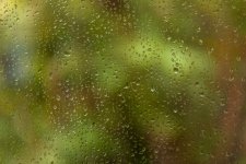 Rainy Window.JPG