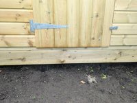 PXL_20230802_073224065 (Medium).jpg