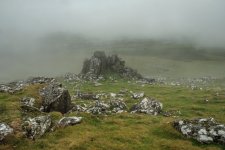 006 Sourton Tors 03-6940 PS Adj.JPG 006 Sourton Tors 03-6940 PS Adj.JPG