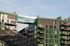 Swimmer in the Sky Pool at Embassy Gardens (1).jpg