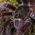 P1019914.jpg P1019914.jpg