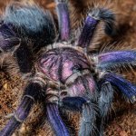 P1015561.jpg P1015561.jpg