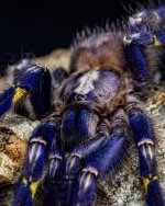 P1022736 (1).jpg P1022736 (1).jpg