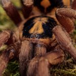 P1051583.jpg P1051583.jpg