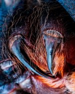 P1013935 (3).jpg P1013935 (3).jpg