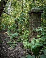 Aug 07-23 - smaller (2 of 4).jpg Aug 07-23 - smaller (2 of 4).jpg