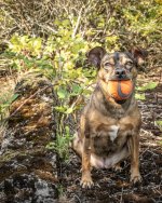 Aug 07-23 - smaller (1 of 4).jpg Aug 07-23 - smaller (1 of 4).jpg