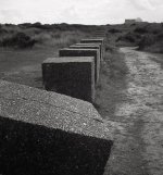 Irregular.jpg Irregular.jpg