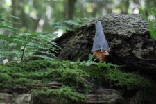 Gnome.jpg