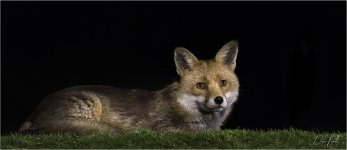 IMG_1415 LR CS6 JP tp.jpg