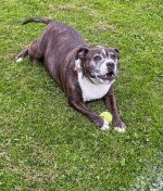 Week 32 - Possession(s).jpg