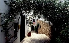 bs 200017CS5.jpg bs 200017CS5.jpg