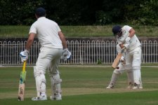 1692325785394.jpeg 1692325785394.jpeg