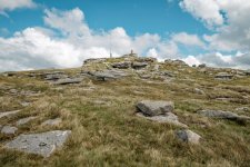 026 Yes Tor 02-1933 PS Adj.JPG 026 Yes Tor 02-1933 PS Adj.JPG