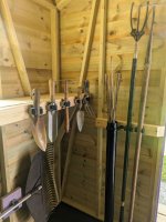 PXL_20230820_094132596 (Medium).jpg