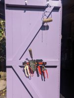 PXL_20230820_094628432 (Medium).jpg