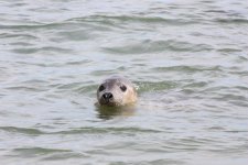 IMG_5651.2.jpg IMG_5651.2.jpg