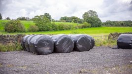 Week 34 - Circles.jpg