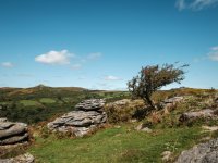 017 Bench Tor Lone Tree 02-1963 PS Adj.JPG 017 Bench Tor Lone Tree 02-1963 PS Adj.JPG