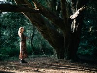 Anna - Kingley Vale selection (9 of 14) - B0011010.jpg Anna - Kingley Vale selection (9 of 14) - B0011010.jpg