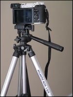 Atlantic tripod with GX7 mounted GM5 P1240228.JPG