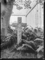 2023-8-28 Bywell Kodak Specialist 2, Orwo, EI2, 001.jpg