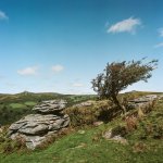 009 Bench Tor Lone Tree 05-000109330009 PS Adj.JPG