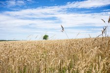 1-DSC02961.jpg 1-DSC02961.jpg