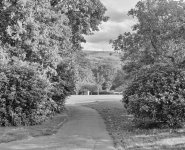 Whittaker Park 1 Lr.jpg