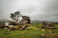 006 Emsworthy Rocks Lone Tree 03-1982 PS Adj.JPG 006 Emsworthy Rocks Lone Tree 03-1982 PS Adj.JPG