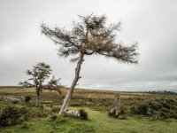 015 Haytor Quarry 04-2008 PS Adj.JPG 015 Haytor Quarry 04-2008 PS Adj.JPG