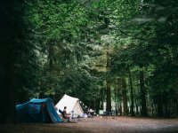 Singfest 2023 - Highlights (3 of 29) - B0011156.jpg