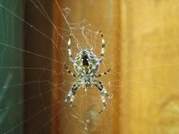 DSCF2280.JPG DSCF2280.JPG