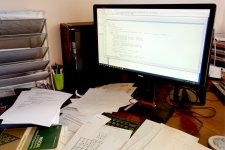 Snapper Choice.JPG Snapper Choice.JPG