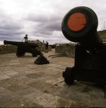 2023-08-29-0012.jpg 2023-08-29-0012.jpg