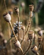 Sep 07-23 (1 of 1)-19.JPG Sep 07-23 (1 of 1)-19.JPG